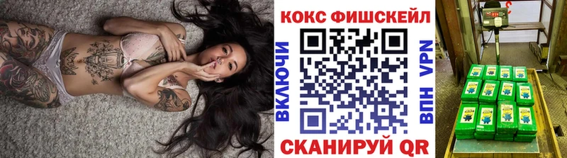 ОМГ ОМГ ТОР  Дедовск  COCAIN Fish Scale  сколько стоит 