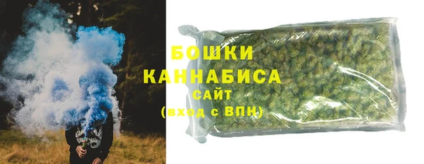 соль ск Бронницы