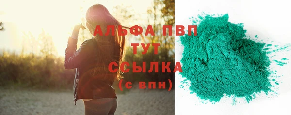 молекула духа Бородино