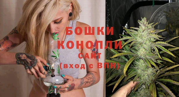 соль ск Бронницы