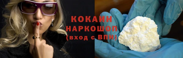 молекула духа Бородино