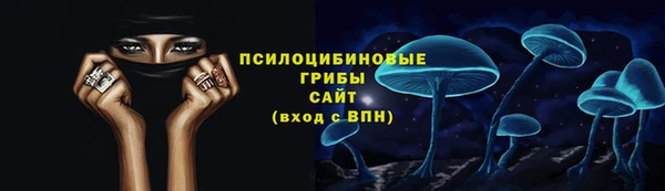 молекула духа Бородино