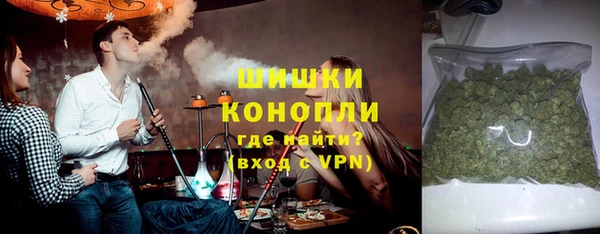 молекула духа Бородино