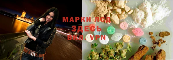 молекула духа Бородино